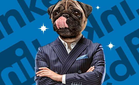 montagem de homem vestindo terno com os braços cruzados e cabeça de bulgog com a língua pra fora Os 10 CMOs mais influentes